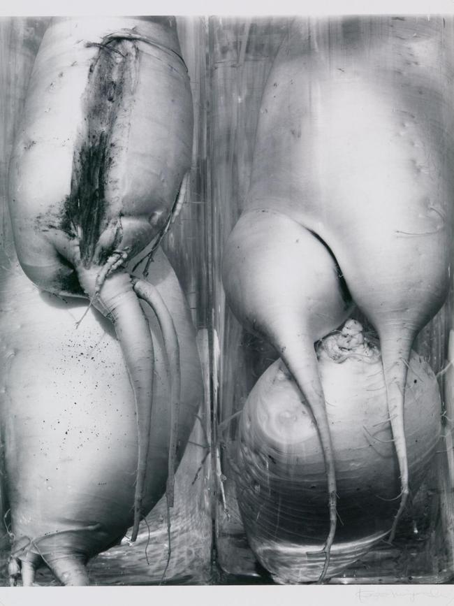 2Kozo Miyoshi / Japan b.1947 / Roots, D3 1987-90, printed 1990 / Gelatin silver photograph on paper /55 x 45cm / Purchased 1996 / Collection: Queensland Art Galley | Gallery of Modern Art / © Kozo Miyoshi