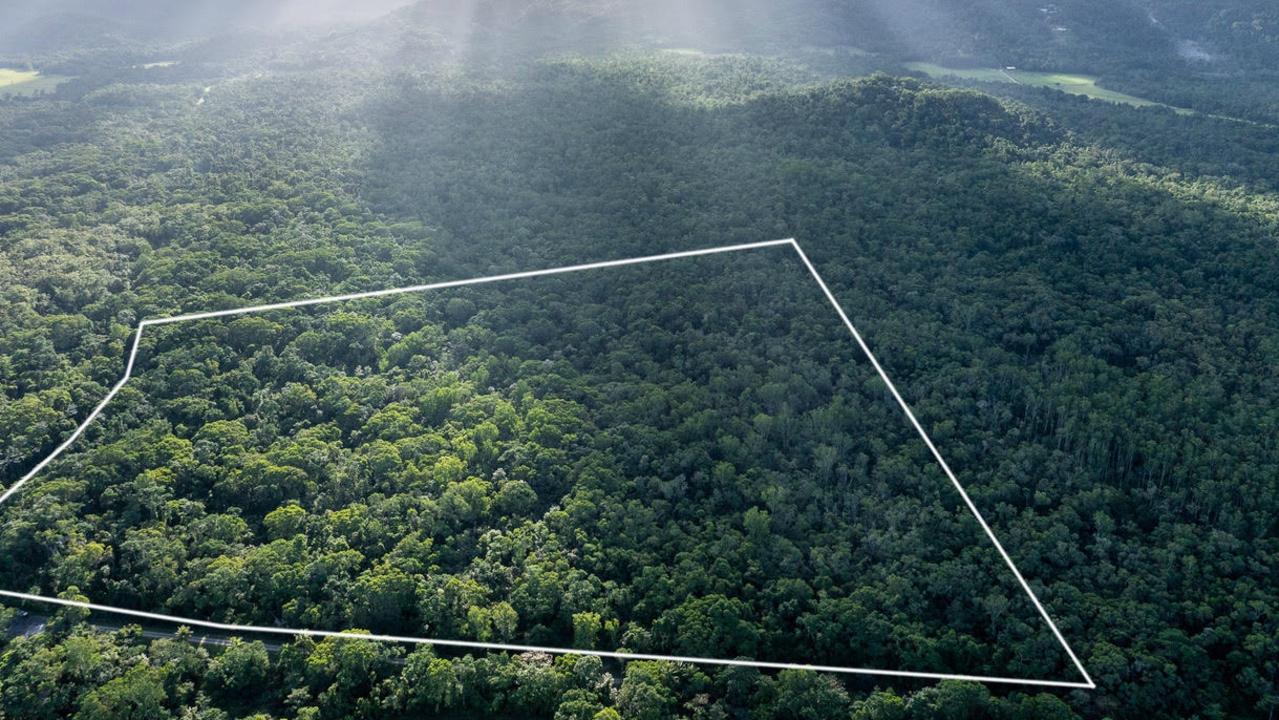 Gondwana Rainforest Trust has been accused of misleading donors about the potential development of land at Lot 92 Cape Tribulation Road, in the Daintree. Picture: Supplied