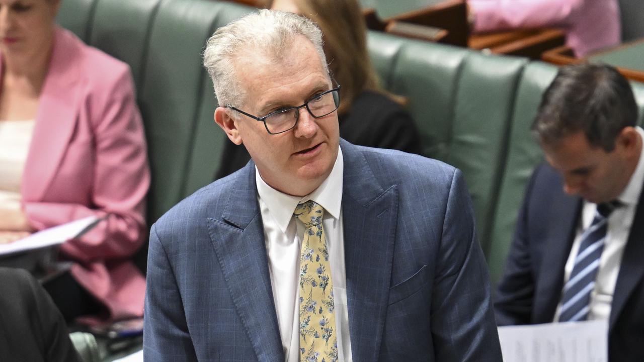 Tony Burke accused Peter Dutton of spreading “demonstrably untrue” claims of the terror plot, without seeking advice from security agencies. Picture: NewsWire / Martin Ollman