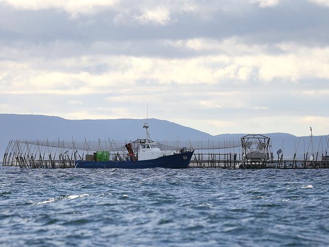 Huon Aquaculture salmon pens east of Bruny Island. Picture: SAM ROSEWARNE.