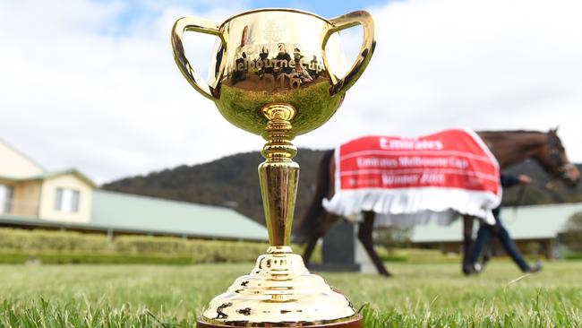 Last year’s winner Almandin with the Melbourne Cup at Macedon Lodge. Picture: AAP Image/Tracey Nearmy