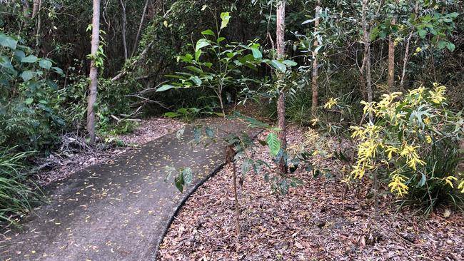 The wattle trees add a splash of colour to the walk. Picture: Amanda Robbemond