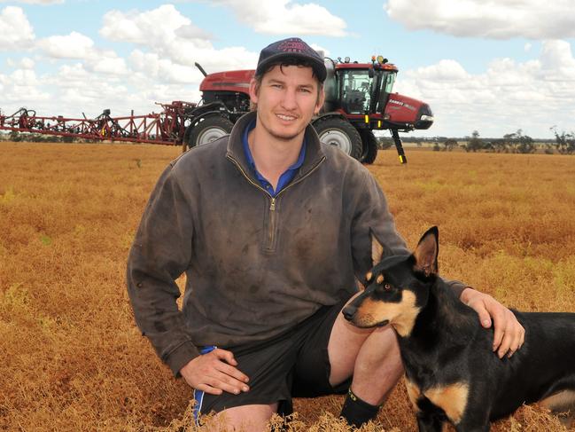 Farmer Brent Sheahan in a crop on his family's property at Dumosa, near Quambatook. October 2020. Picture: JAMES WAGSTAFF