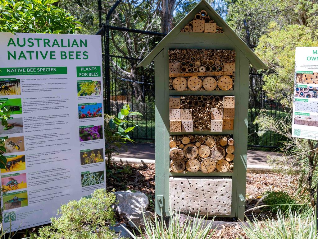 A native bee hotel at Rockhampton Zoo. Supplied: Rockhampton Regional Council.