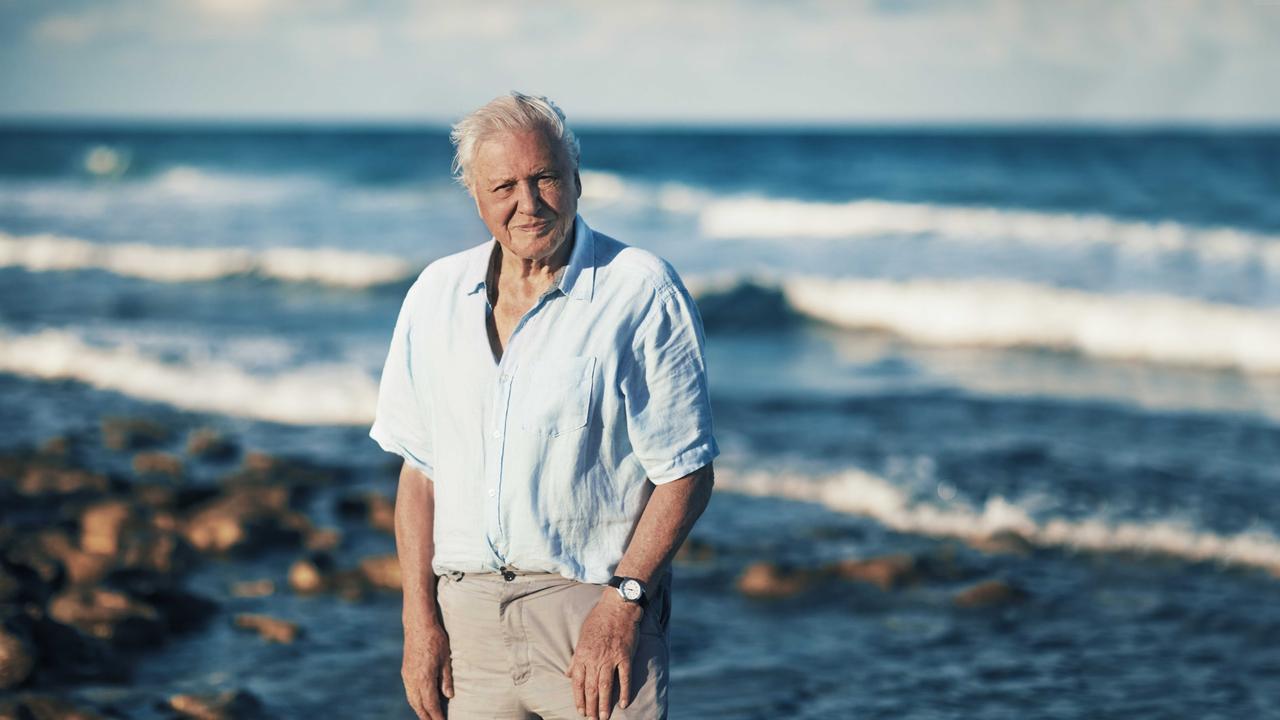 BBC Earth series, Blue Planet II stars Sir David Attenborough. Picture: Alex Board