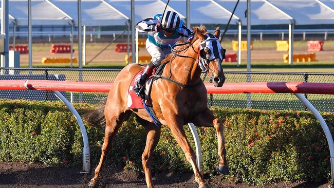 The Gary Clarke trained Wolfburn won the Bridge Toyota Cup with jockey Jarrod Todd on Ladies Day. Picture: Caroline Camilleri