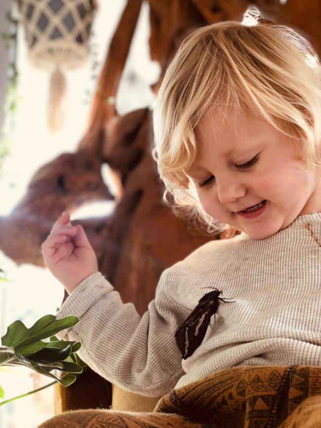 Logan (aged 2.5 years) of Hewett with a rain moth he named Beauty. Picture: Carissa Wright @alittlevintagedream