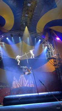 Shocking moment circus performer plunges from tightrope