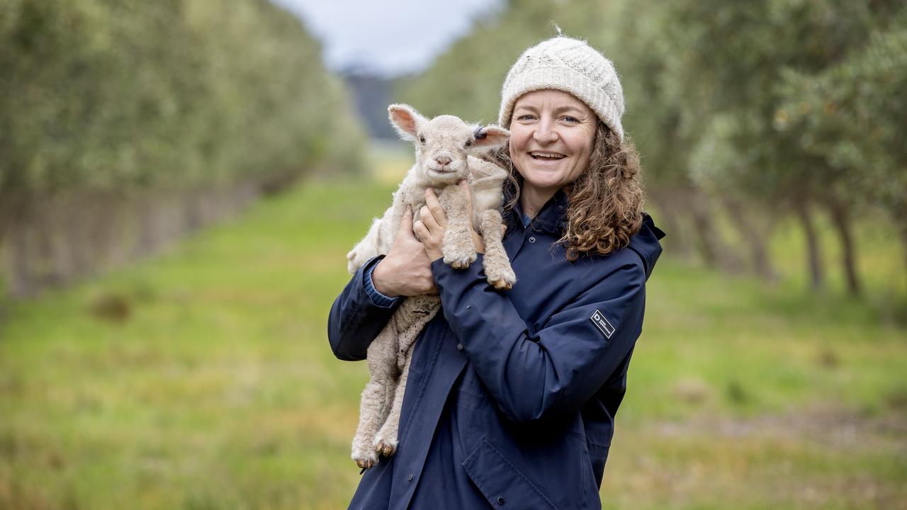 Inverleigh farm’s hope for harvest