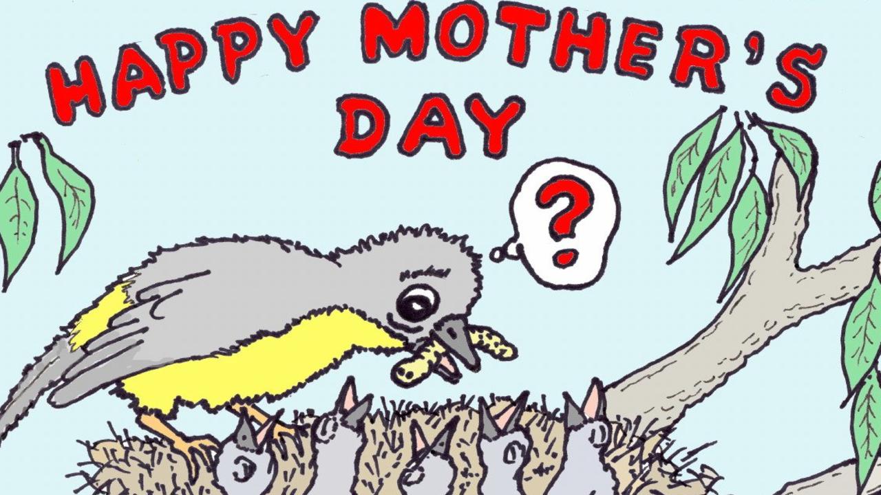 Mother's Day cartoon.
