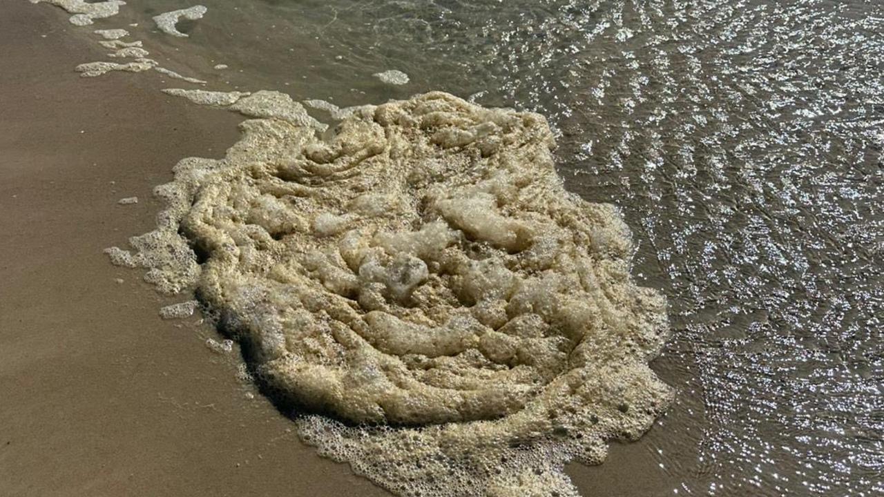 A significant toxic algae bloom is impacting the waters around the state. Picture: Supplied