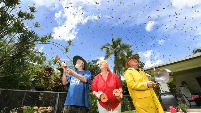 Alice River residents Barry Turville, Helen Townsend and Tony Townsend pictured in one of the back yards which has been infested by flying foxes. Picture: Shae Beplate.