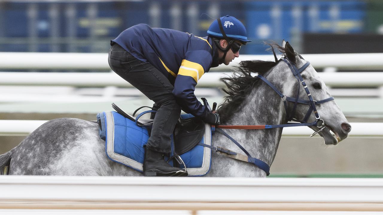 Chautauqua jumped out succussfully at Flemington last Friday. Picture: Getty Images