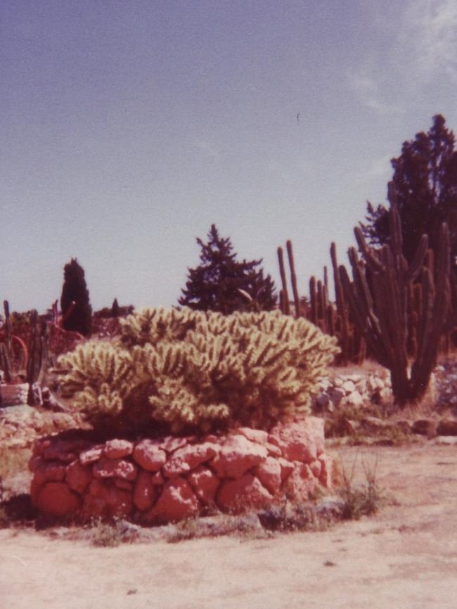 A circle of cactuses at the garden. Picture: Mallala Museum