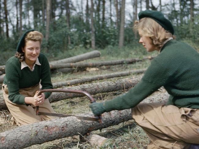 Land Army members sawing larch poles for use as pit props at the Women’s Timber Corps training camp at Culford, Suffolk, 1943. Picture: Imperial War Museum