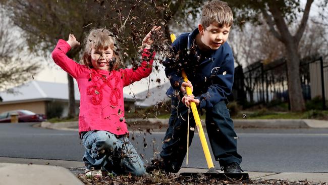 Charlotte and William at Noarlunga Downs, where Chinese elm trees are dropping their leaves. Pic: Calum Robertson