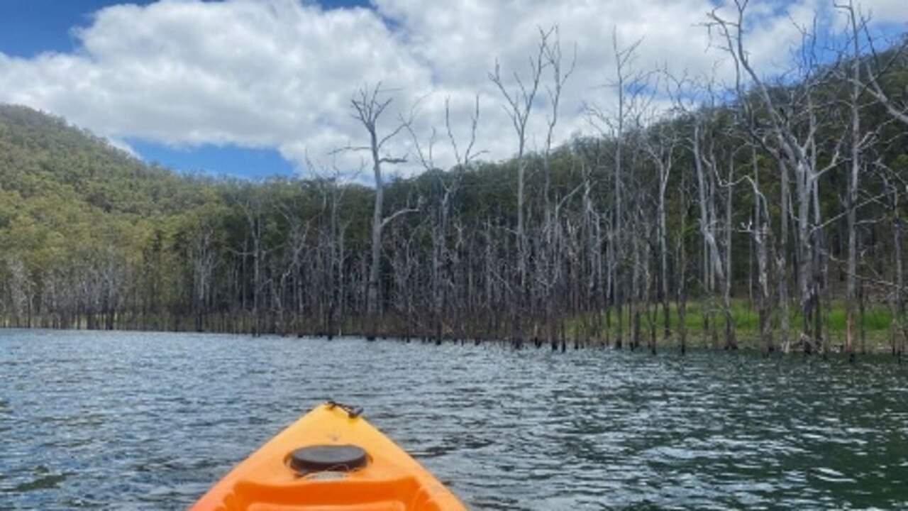 The Hinze Dam - backdrop for the SWELL Sculpture Festival Waterlines exhibition.