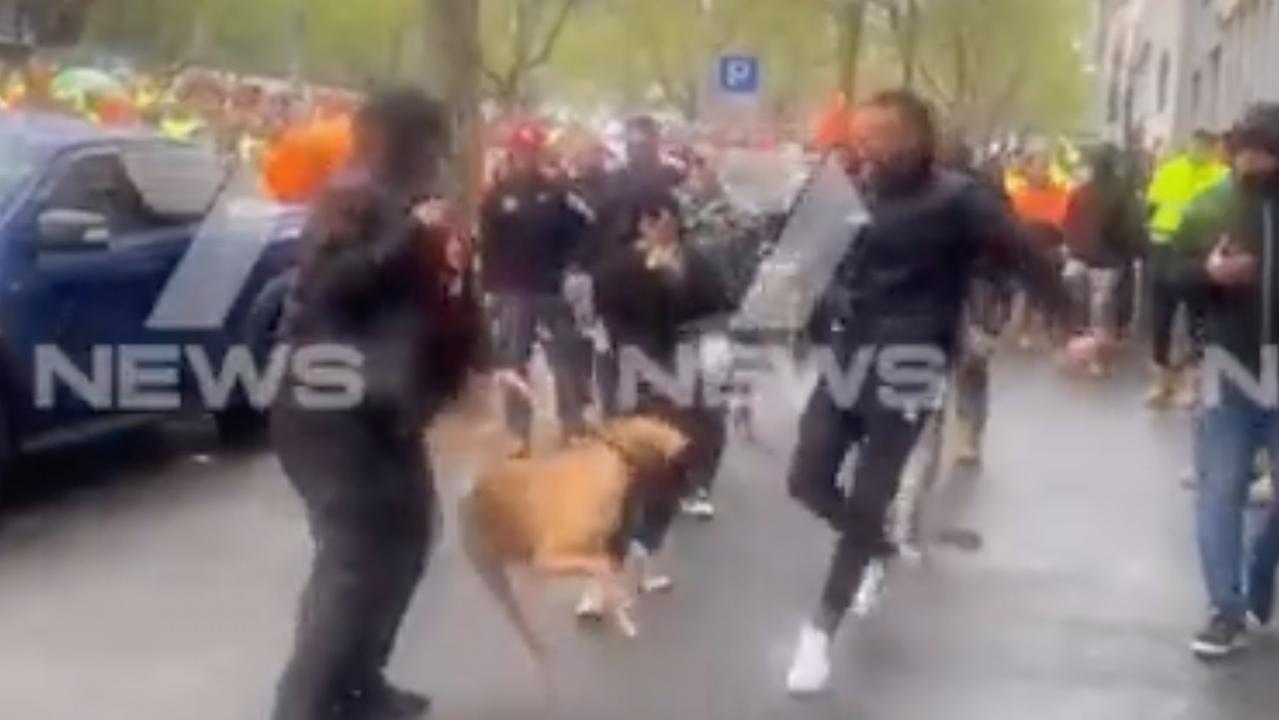 Melbourne protest dog kick investigated by RSPCA Victoria | news.com.au ...