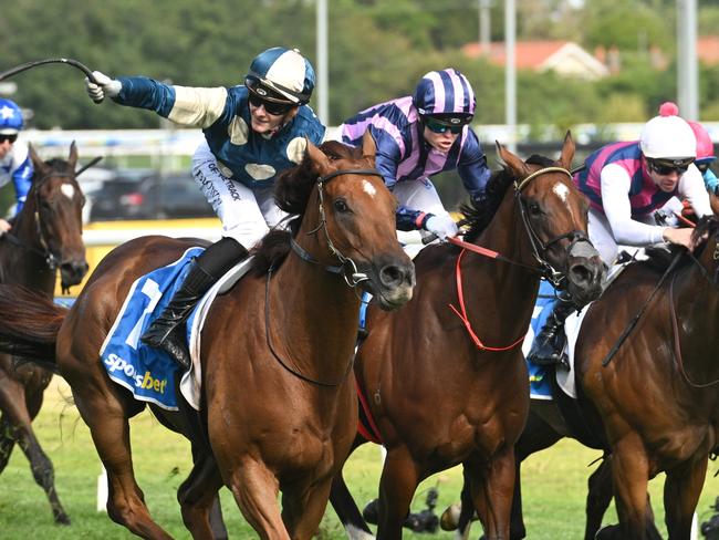 MELBOURNE, AUSTRALIA - FEBRUARY 22: Ethan Brown riding Jimmysstar defeats Craig Williams riding She's Bulletproof in Race 9, the Sportsbet Oakleigh Plate during Melbourne Racing at Caulfield Racecourse on February 22, 2025 in Melbourne, Australia. (Photo by Vince Caligiuri/Getty Images)