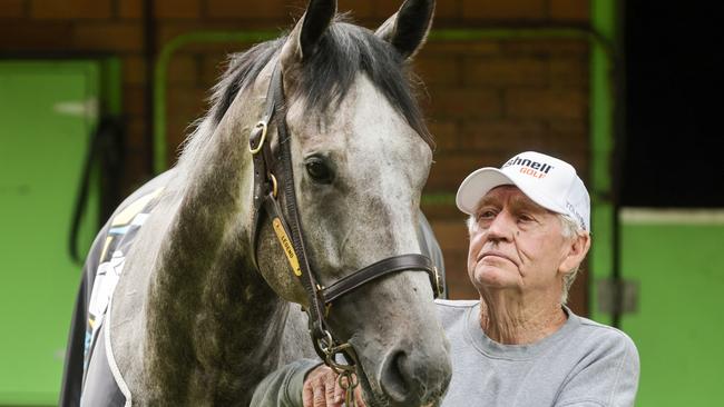 Trainer Les Bridge and Classique Legend at his Randwick stables.