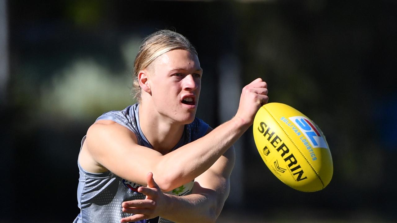 Hayden Young caught the Freako’s eye in the AAMI Series. Picture: Darren England