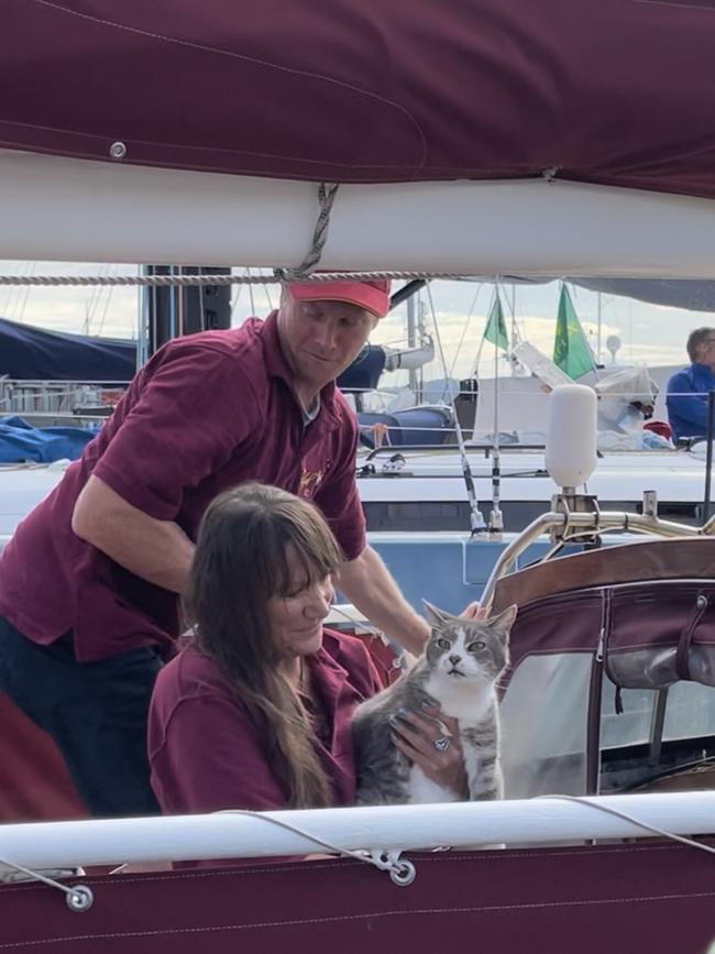 Ten-year-old cat Oli reaches the finish line of the Sydney to Hobart with the crew of Sylph VI. Picture: Genevieve Holding