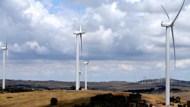 An Infigen wind farm.