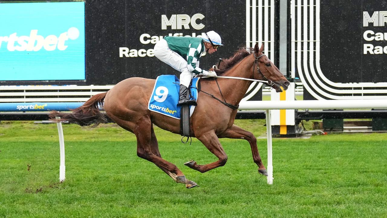 First Settler cruises to a good debut win at Caulfield on Saturday. Photo: Scott Barbour/ Getty Images.