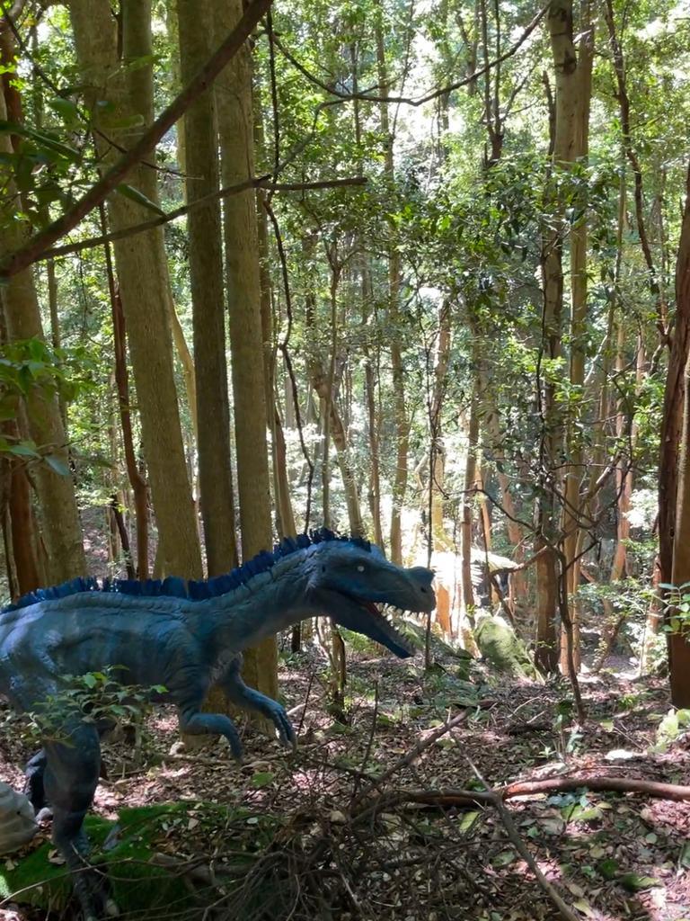 Dinosaur Valley at Scenic World has around 37 dinosaurs dotted around the rainforest to discover.