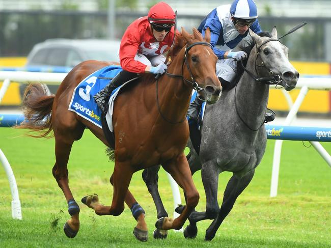 MELBOURNE, AUSTRALIA - FEBRUARY 08: Ethan Brown riding Palm Angel defeating Jamie Mott riding My Gladiola to win Race 5, the Sportsbet Blue Diamond Prelude Fillies during Melbourne Racing at Caulfield Racecourse on February 08, 2025 in Melbourne, Australia. (Photo by Vince Caligiuri/Getty Images)