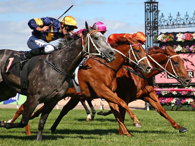 Chautauqua, ridden by Dwayne Dunn, claims Terrivista (right) and Japonisme (centre) int thrilling circumstances on Saturday.