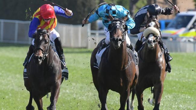 Siege of Quebec runs over the top of Pierata to win the Bill Richie Handicap. Picture: AAP