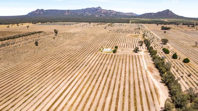 The Beats family are selling their 423ha Wimmera Wildflowers property at Laharum