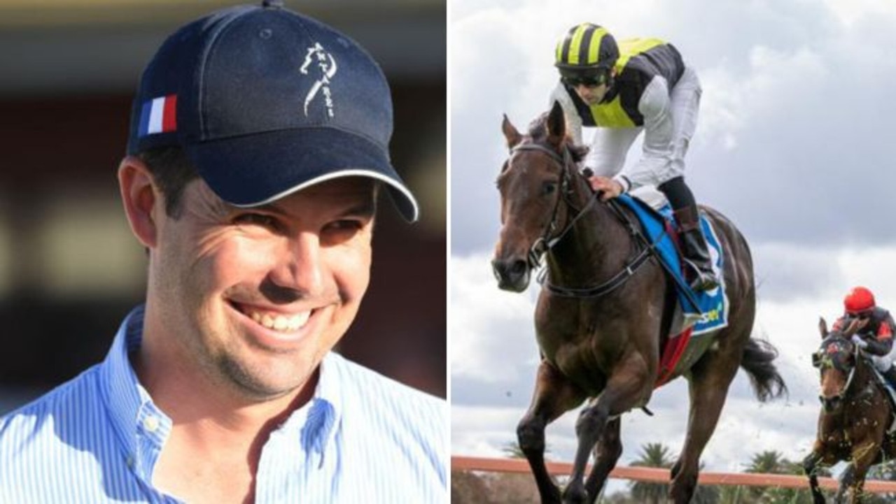 Hickmott: Queensland Derby win will be ‘pinnacle of my career’
