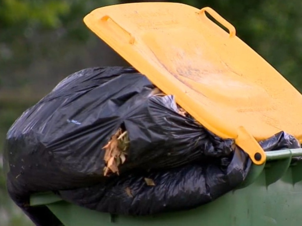 Bins are overflowing as garbos walk off the job. Picture: 9News