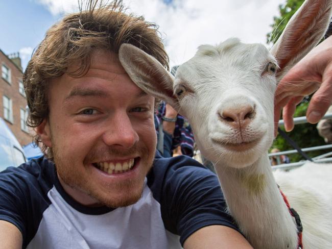 Allan Dixon’s animal selfies - goat. Pic: @Daxon/Caters News