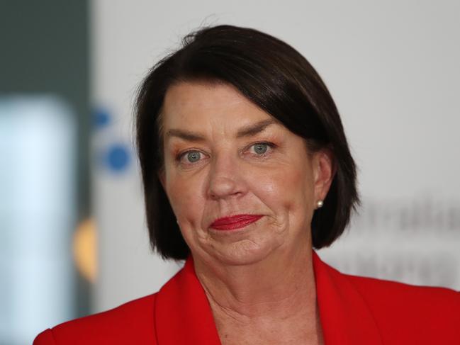 ABA CEO Anna Bligh speaking at a doorstop at Parliament House in Canberra.