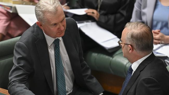 Anthony Albanese and Tony Burke have overcome a Senate blockade to deliver their IR agenda. Picture: NCA NewsWire / Martin Ollman