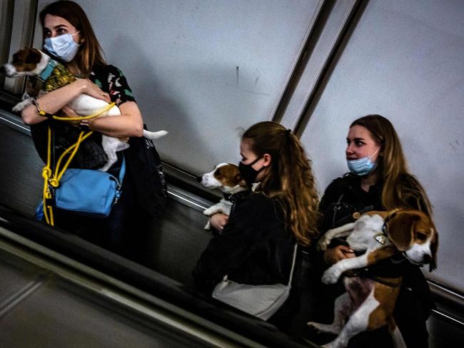 Women wearing face masks, carry their dogs in a Moscow train station. Covid cases are again spiking in Russia. Picture: AFP