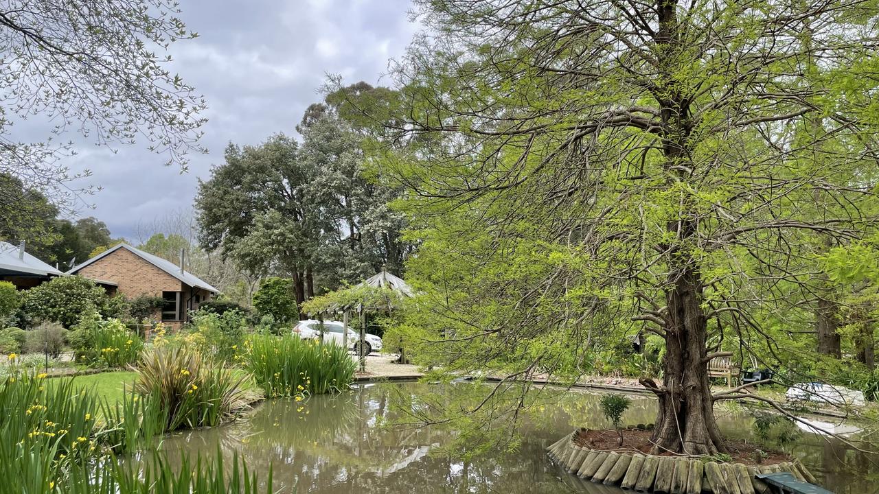 Janet and John Sefton's garden at Dural features a duck pond.