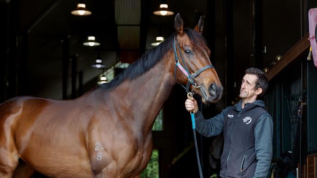 Strapper Lenny Todd with Everest hopeful I Am Me. Picture: Nikki Short