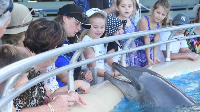 Dolphin Marine Conservation Park is one of the most iconic tourist attractions on the NSW Mid North Coast. Picture: Facebook / Dolphin Marine Conservation Park