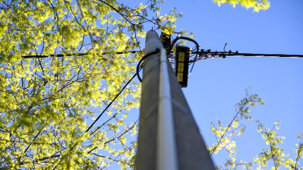 Office of Work Health and Safety prosecutor Tom Ward told the court Sec Shed Constructions had been hired by a Super Fund in 2021, to build the prefabricated shed on a Curra property which had a 7.8m-high powerline running across it. PICTURE: PENNY STEPHENS.