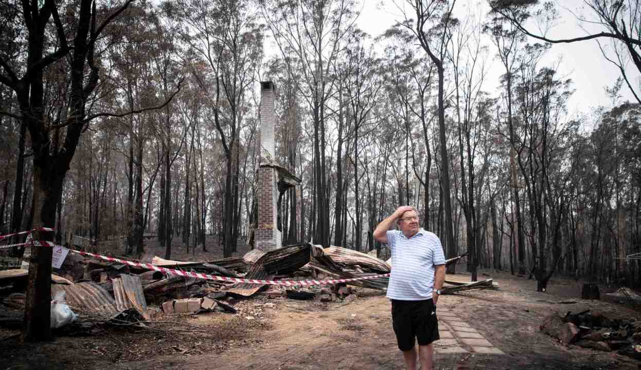 Business Council helping bushfire recovery