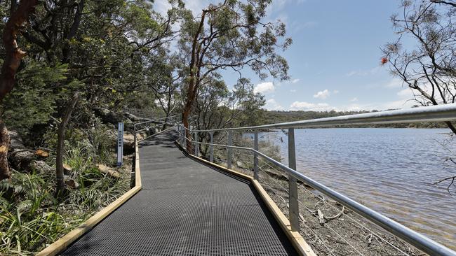 Northern Beaches Council says the boardwalk would help protect plants from walkers trampling on flora. Picture: Karen Watson