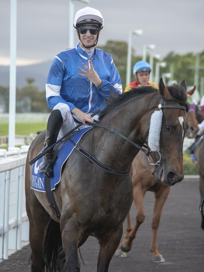 Jockey Luke Dittman won four races at the Gold Coast Turf Club on Saturday, October 20, 2018. Pictured on the Les Kelly-trained Smart As Attack. Picture credit: Greg Irvine (Magic Millions).