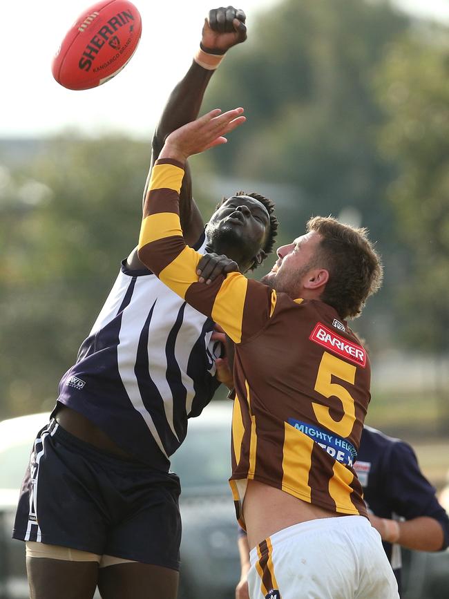 Peter Akech wins the tap against Tom Gawthrop. Picture: Hamish Blair