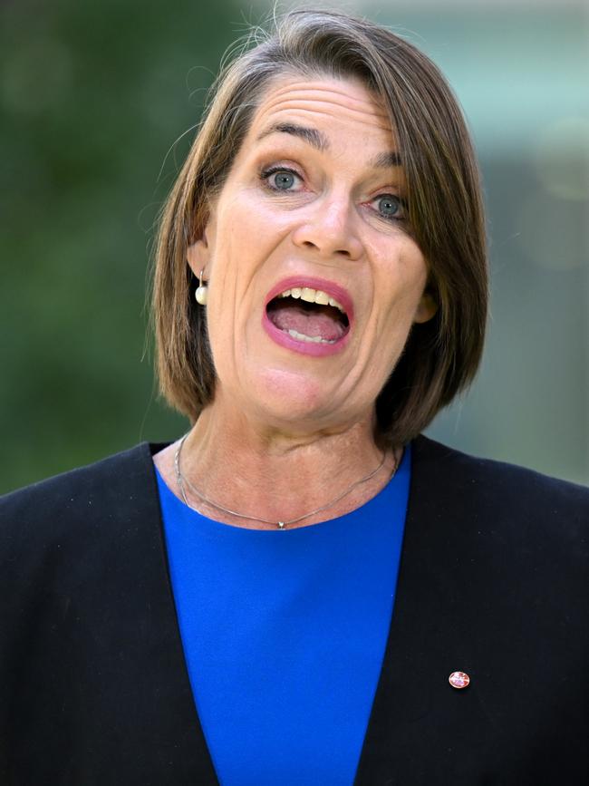 Senator Perin Davey. Picture: AAP Image/Lukas Coch