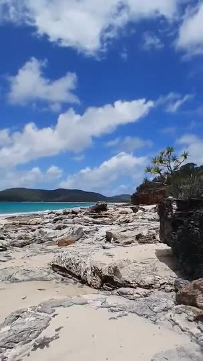 Great Keppel Island clean-up