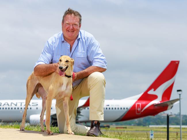 Former GRNSW CEO boss Rob Macaulay with greyhound Ginger in January. Picture: Justin Lloyd